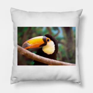 45 toucan Pillow