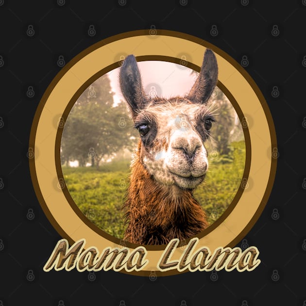 Funny Mama Llama by SteveKight