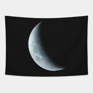 New Moon for Moon Lovers and Romantics Tapestry
