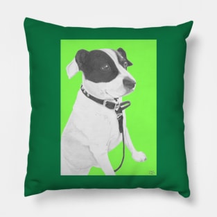 Jack Russell Crossbreed in green Pillow