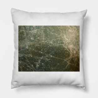 Earth View Pillow