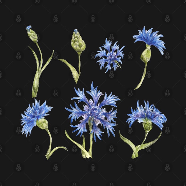 set of blu flowers by lisenok