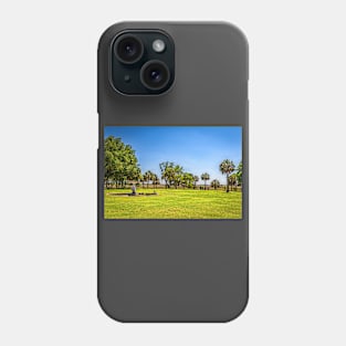 Cumberland Island National Seashore Phone Case