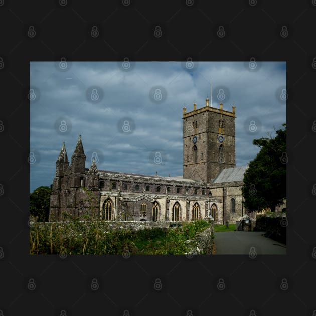 St Davids Cathedral by jalfc46