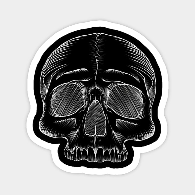 Skull sketch Magnet by Raccoon.Trash