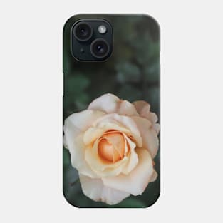 White rose blossom with bright yellow center Phone Case