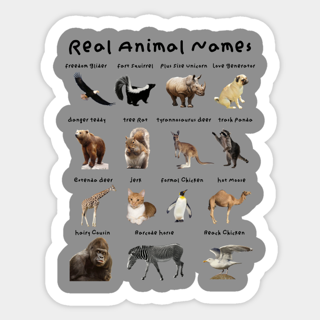 Real Animal Names - Animals - Sticker | TeePublic Real Animal Names - Animals - Sticker | TeePublic