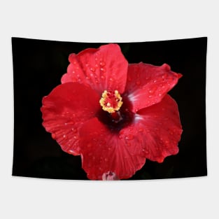 Red Hibiscus on Black Tapestry