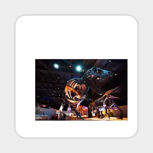 the mighty tyrannosaurus rex in ecopop photograph museum art Magnet