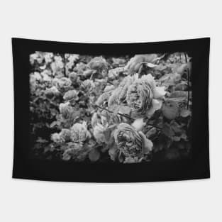 Vintage roses on a black and white film Tapestry