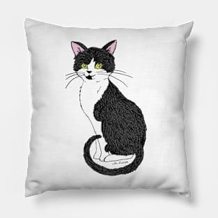 The Cat's Meow Pillow