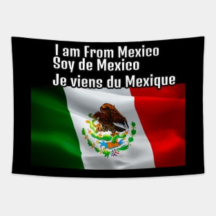 I am From Mexico Tapestry