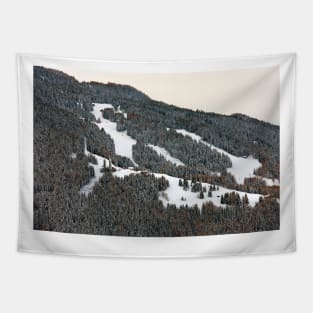 Montchavin Les Coches French Alps France Tapestry