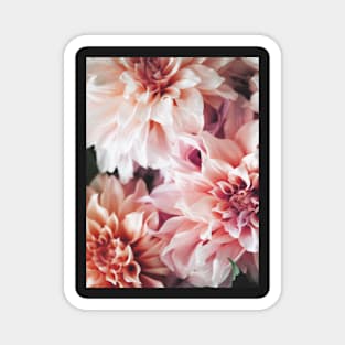 Flowers print, Pink, Pastel, Fashion print, Scandinavian art, Modern art, Wall art, Print, Minimalistic, Modern Magnet