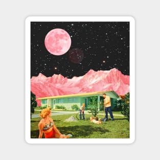 Vintage Pink day Collage Magnet