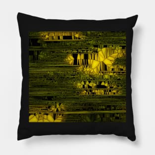 BIOLOGICAL COMPLEXITY Pillow