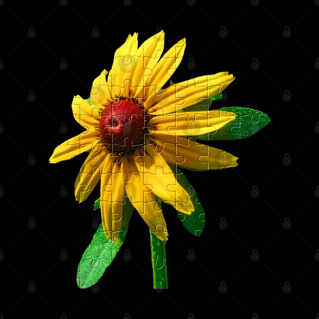 unique flower puzzle, bloom, sunhat flowers, nature by rh_naturestyles