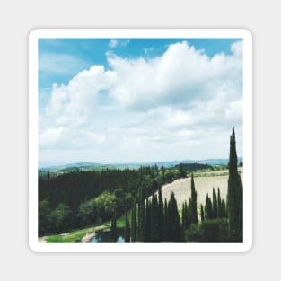 Chianti Vineyard Magnet