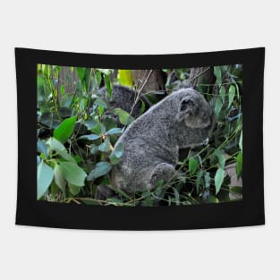 Australie - Cairns, Kuranda Tapestry