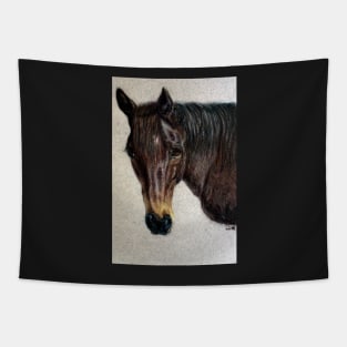 Dee - horse portrait Tapestry