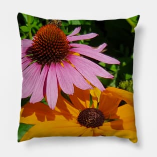 Echineacea cone flowers Pillow