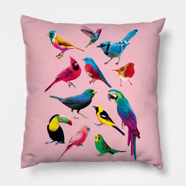Colorful Birds Pillow by saif