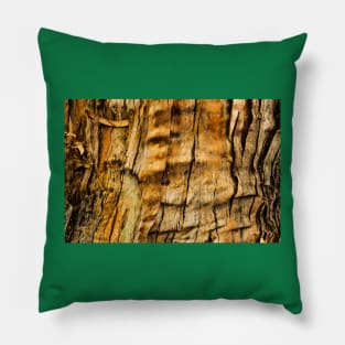 Eucalyptus bark closeup Pillow