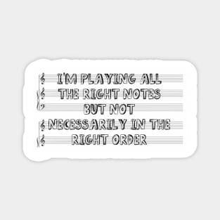 Playing All The Right Notes Products Magnet