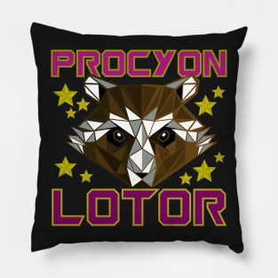 Procyon Lotor - Guardian Raccoon Pillow