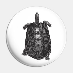 Tortoise Nature Drawing Pin