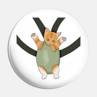 Kitty in a baby carrier (fluffy orange cat) Pin