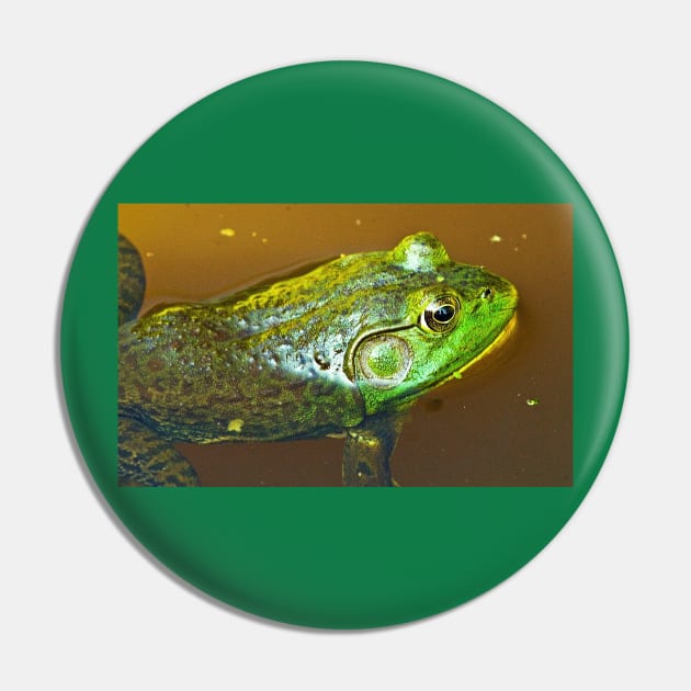 "Pluck your magic twanger, Froggy!" Pin by thadz