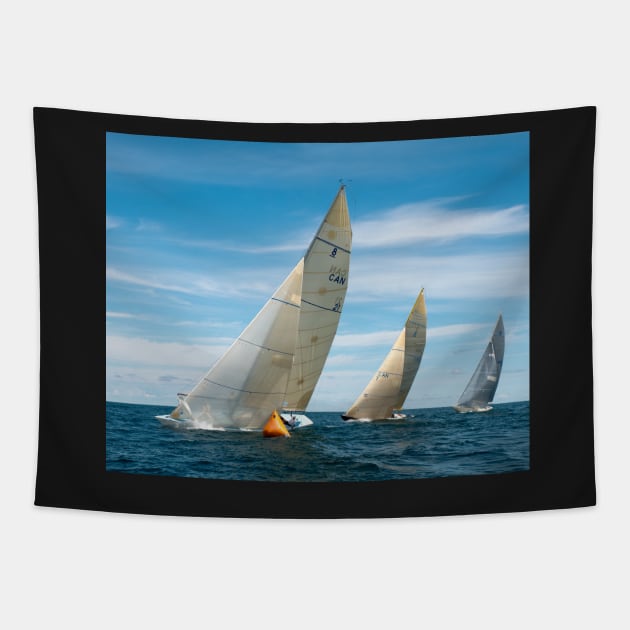 Three to Windward Tapestry by wolftinz