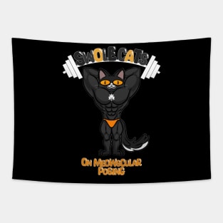 SWOLE BLACK CAT Tapestry