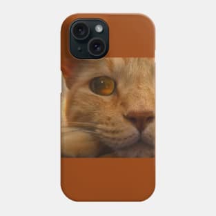 Orange Tabby Cat Eye Phone Case