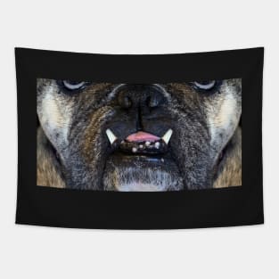 Killer Masks - Rosie The Bulldog-Two Teeth Tapestry