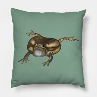 Banded Bullfrog Drawing Pillow