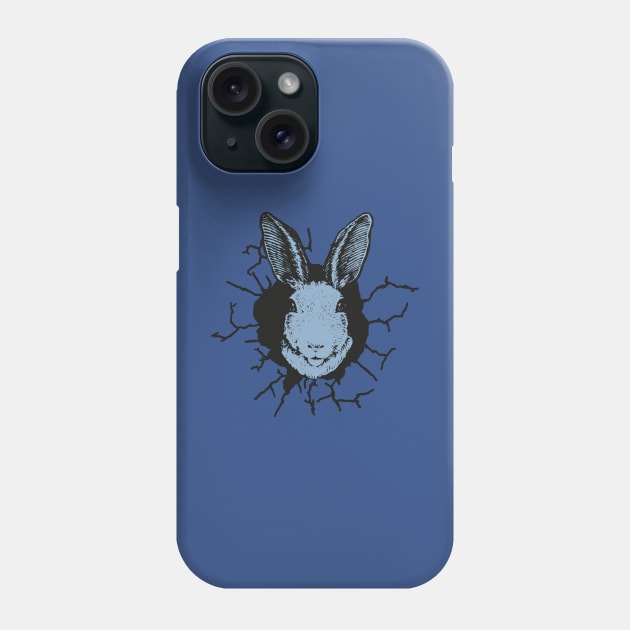 Rabbit cracked wall Phone Case by arianneaubreysd