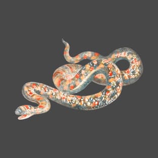 serpent,cobra,reptile,viper,venom,lizard,rattlesnake,king cobra,dragon,hydra,poison,venomous,plumber's snake,pythonidae,pythons,auger,python,squamata,serpentine,worm,big,ophidian,rattlesnakes,medusa,snakebite T-Shirt