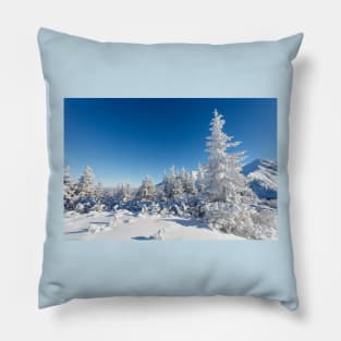 Winter mountain forest landscape, Tatry Mountains Pillow