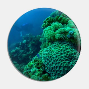 Red Sea coral reef Pin