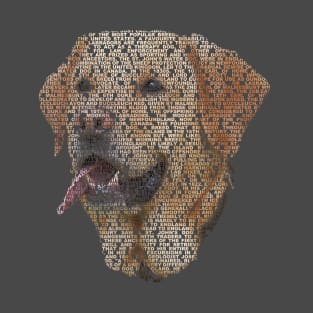 Golden Labrador Info Graphic T-Shirt