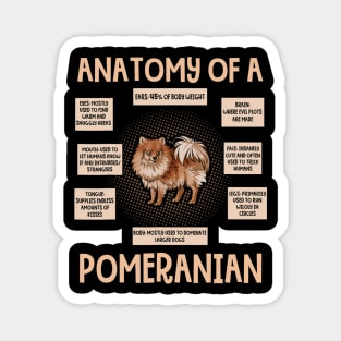 Anatomy Of A Pomeranian Magnet