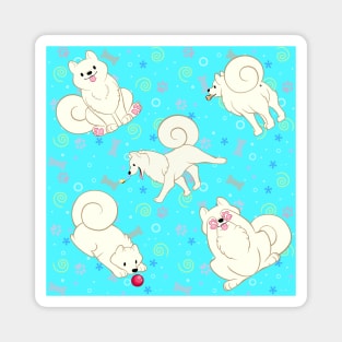 Samoyeds All Over! Magnet