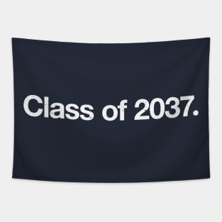 Class of 2037. Tapestry