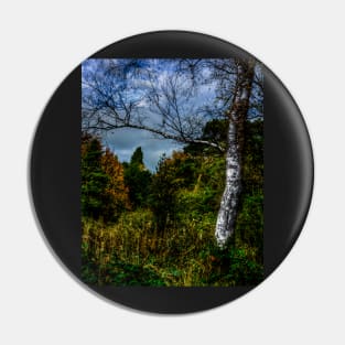 Autumnal Silver Birch Pin