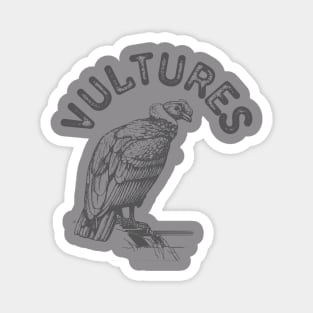 vultures Magnet