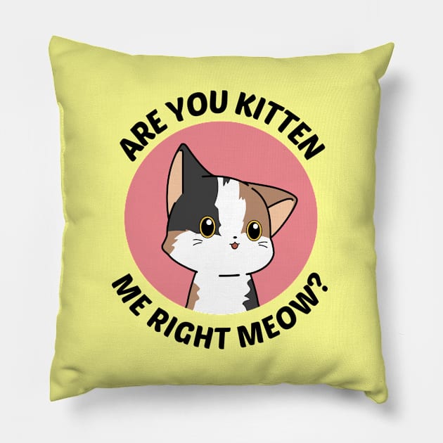 Are You Kitten Me Right Meow - Cute Cat Pun Pillow by Allthingspunny