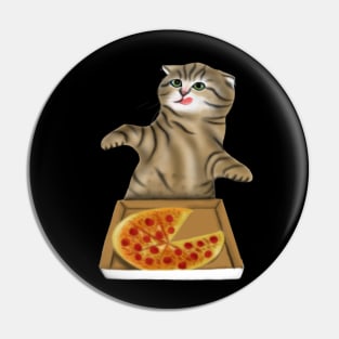 Pizza Cat Lovers Gift Pin