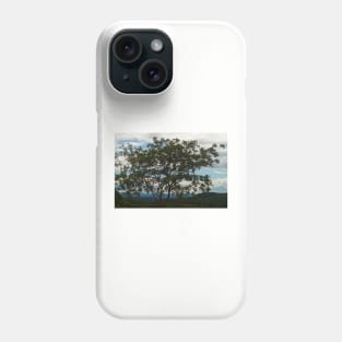 blla silhouette tree Phone Case